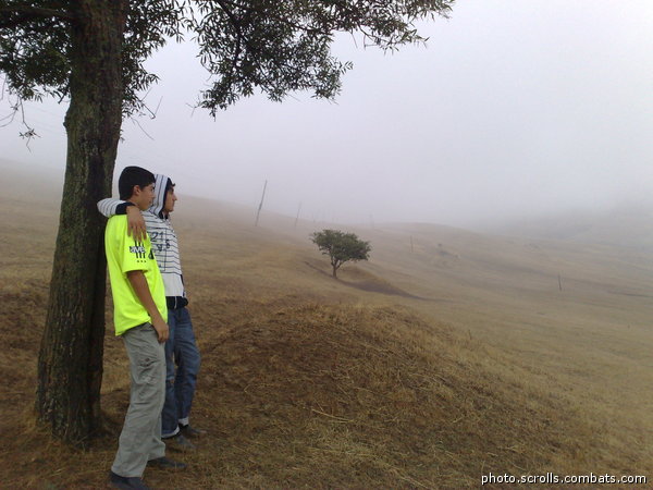 View prev photo