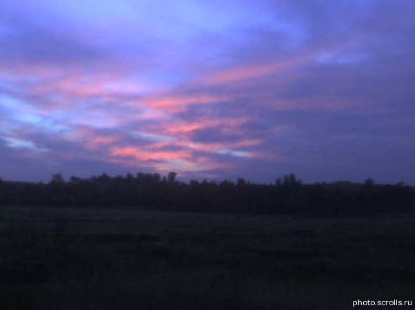 View prev photo