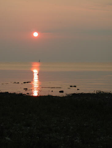 View prev photo