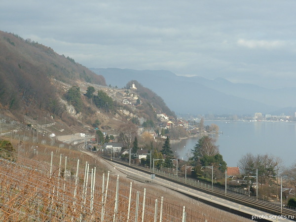 View prev photo