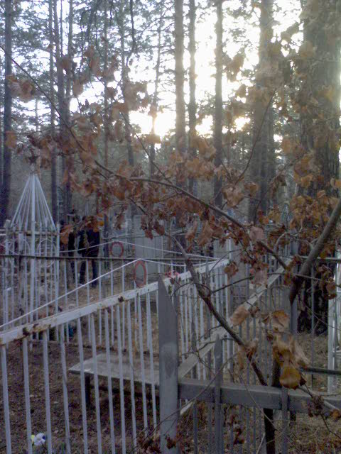 View next photo
