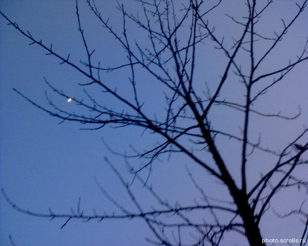 View prev photo