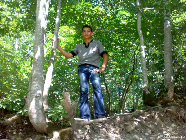 View prev photo
