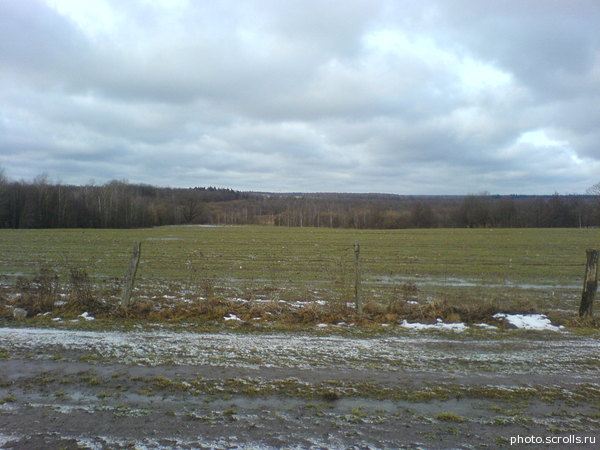 View prev photo