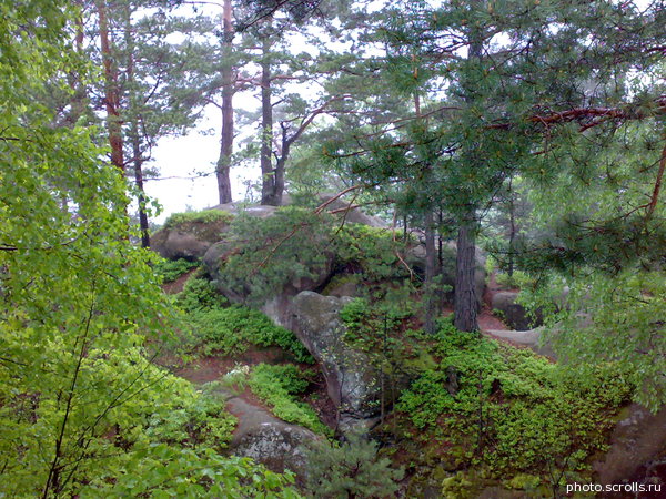 View next photo