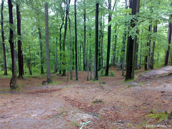 View next photo