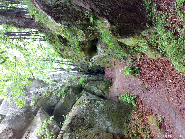 View next photo