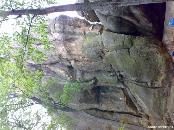 View prev photo