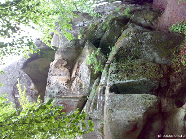 View next photo