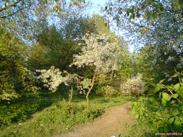 View next photo