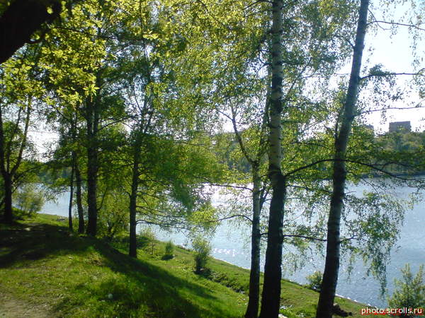 View next photo