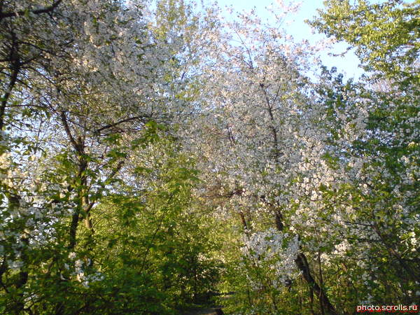 View next photo