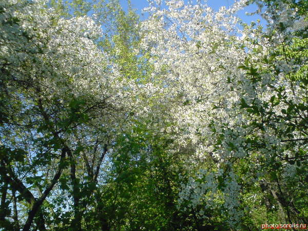 View next photo