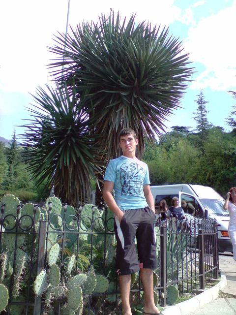View prev photo