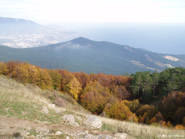View next photo