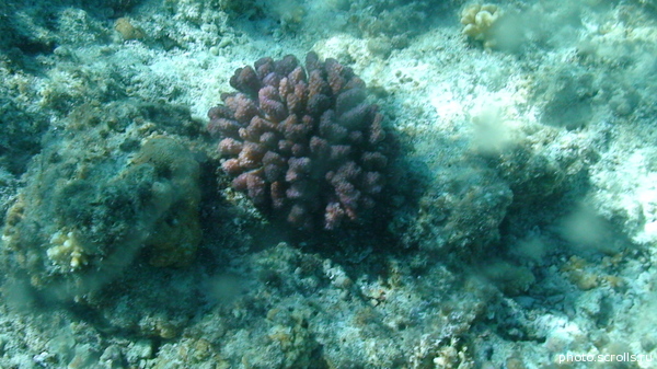 View next photo