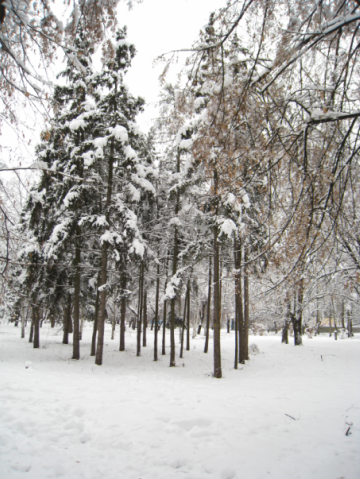 View next photo