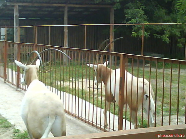 View prev photo