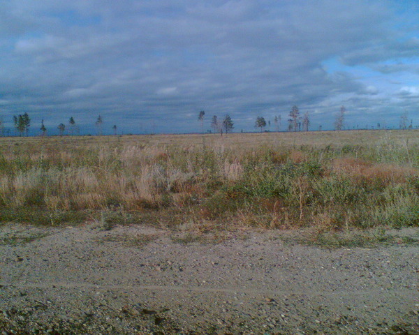 View prev photo