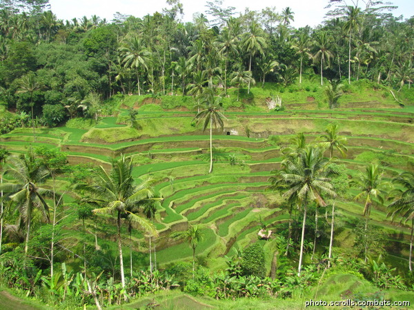 View prev photo