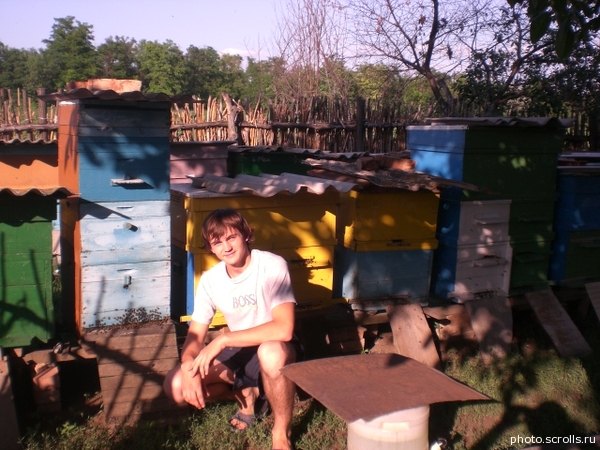 View prev photo