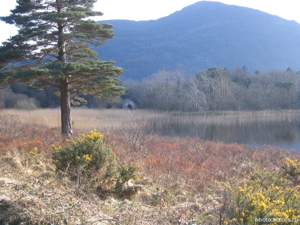 View prev photo