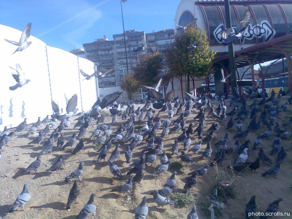 View prev photo