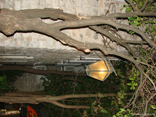 View prev photo