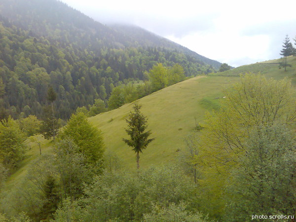 View next photo
