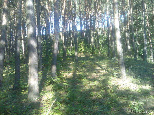 View next photo