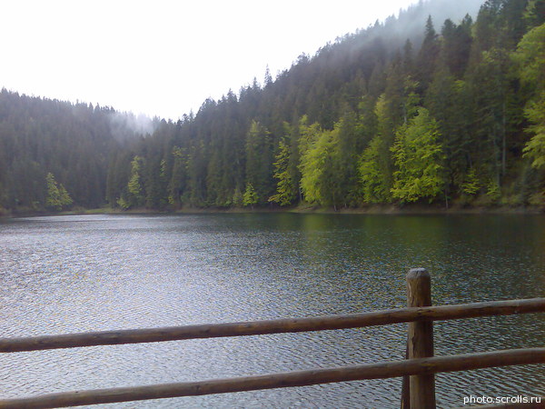 View next photo