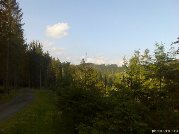 View prev photo
