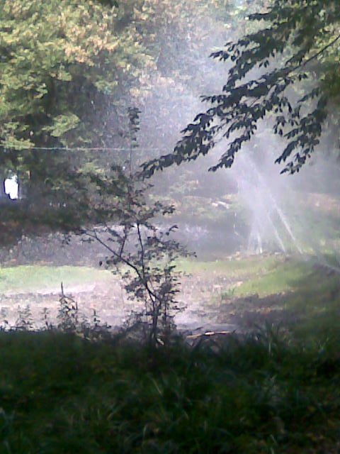 View next photo