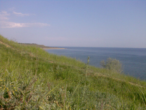 View prev photo