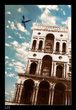 View prev photo