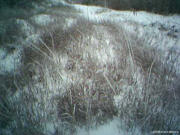 View prev photo