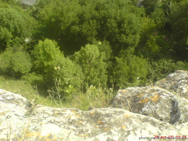 View next photo