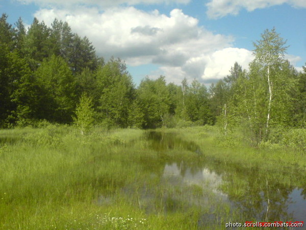 View next photo