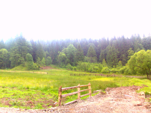 View next photo
