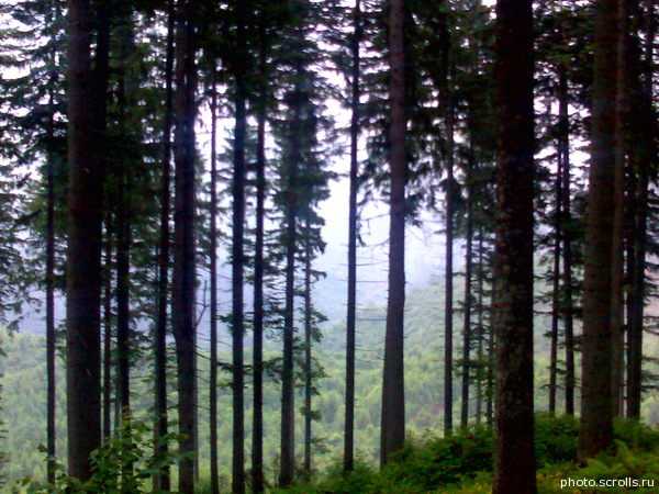 View prev photo