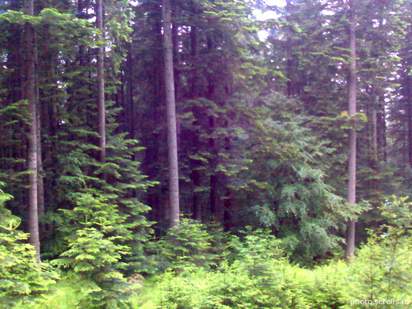 View next photo