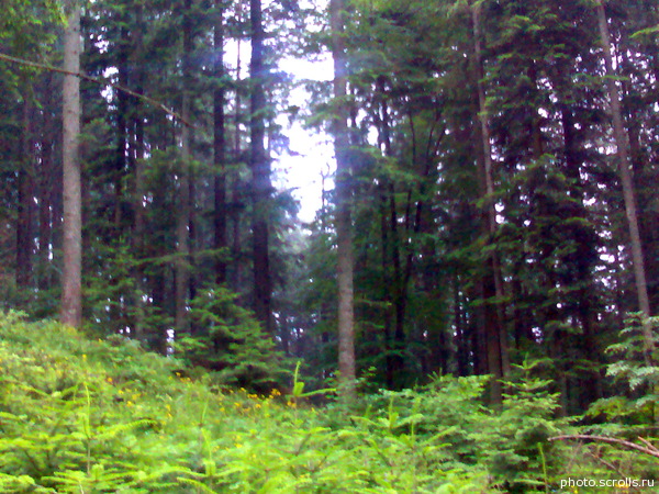 View next photo