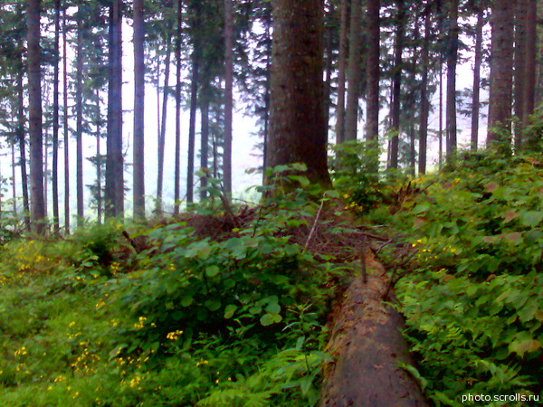 View next photo
