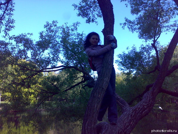 View prev photo