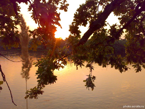 View next photo