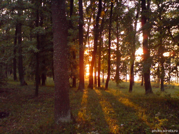 View next photo
