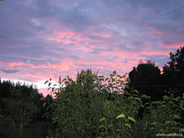 View next photo