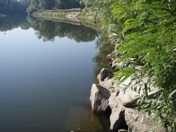 View prev photo