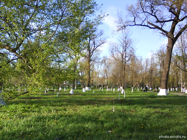 View next photo