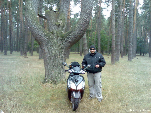 View prev photo